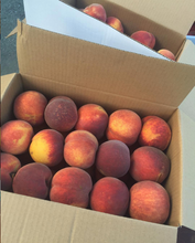 Load image into Gallery viewer, 5kg Peaches
