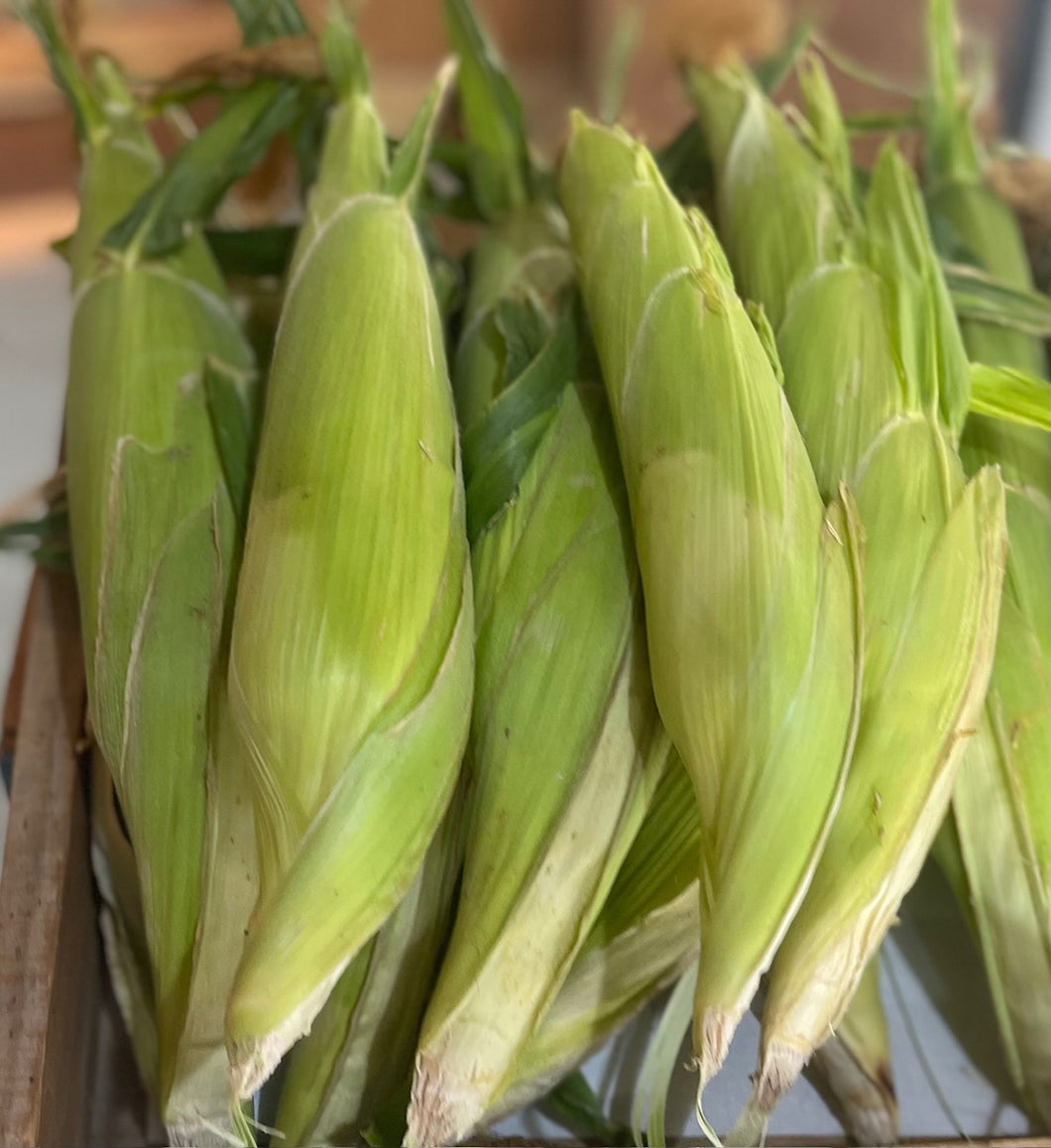 5kg Spray-Free  Fresh Corn Cobs, Locally Grown