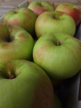 Load image into Gallery viewer, 4.5 KG Peasgood&#39;s Nonsuch Cooking Apples
