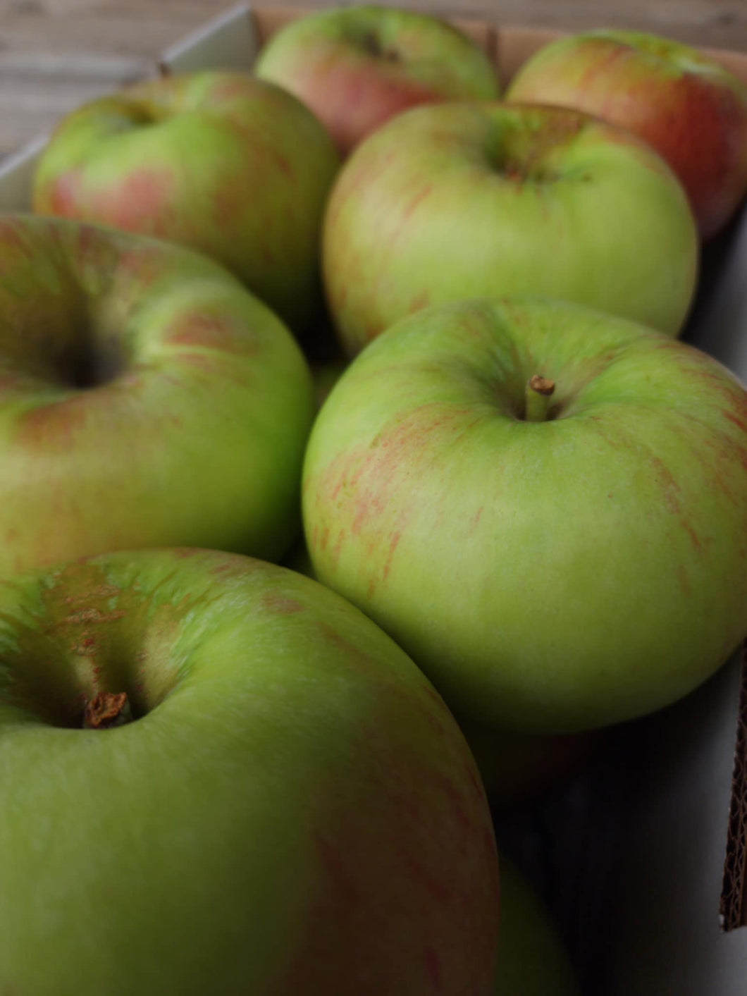 4.5 KG Peasgood's Nonsuch Cooking Apples