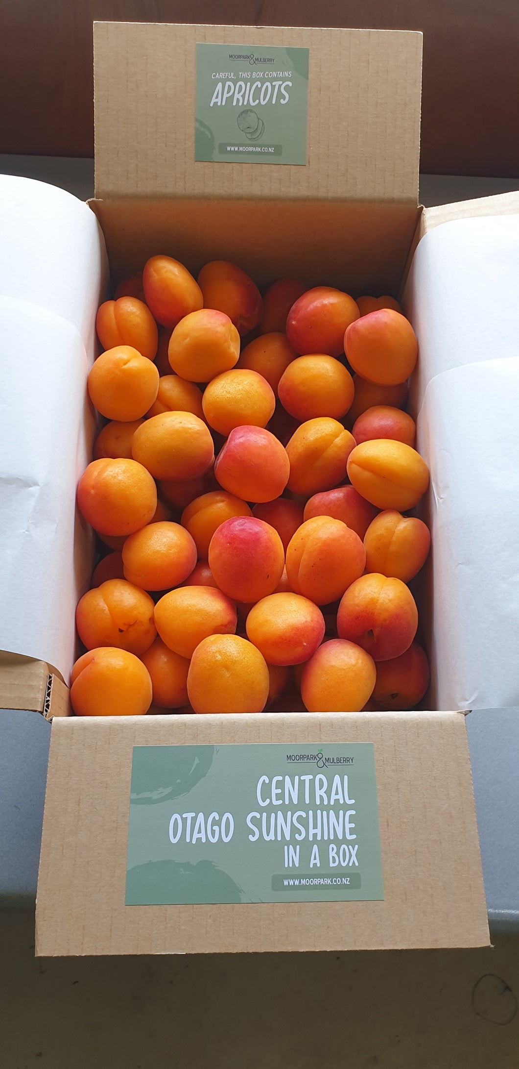 5KG Apricots