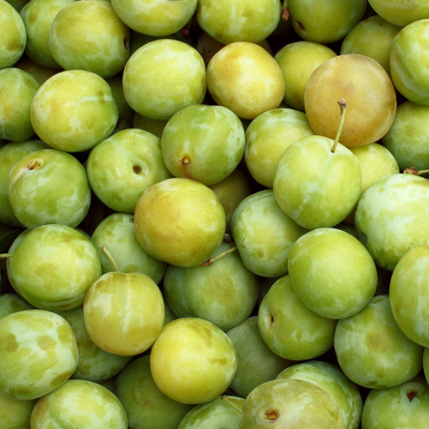 Greengages - 2.5kg